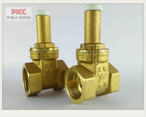 浙江寶水 k137 dn50銅閘閥 玉環縣寶水閥門廠