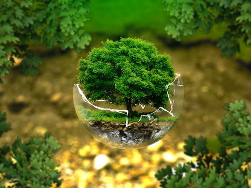 2025成都環(huán)保咨詢實(shí)力榜Top5與全面方案推薦